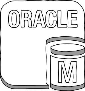 AWS Database RDS oracleDB instance from the AWS Database shape library