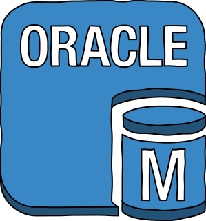 AWS Database RDS oracleDB instance from the AWS Database shape library