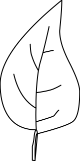 Leaf from the Energy shape library