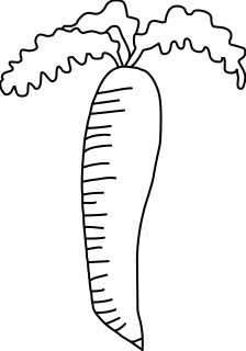 Carrot from the Farm shape library