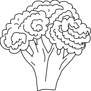 Broccoli from the Farm shape library