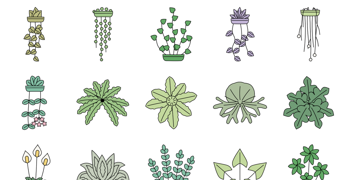 A selection of shapes from Green Walls