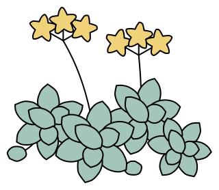 Stonecrop from the Green Walls shape library