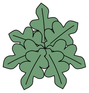 Philodendron 'Xanadu' from the Green Walls shape library