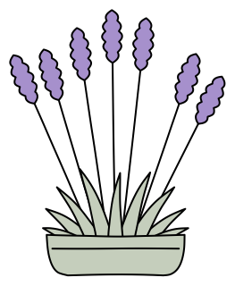 Lavender from the Green Walls shape library