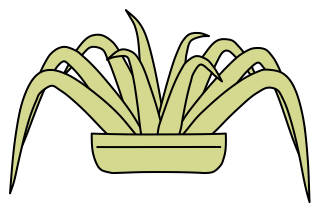 Japanese Sedge from the Green Walls shape library
