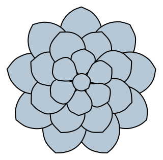 Echeveria from the Green Walls shape library