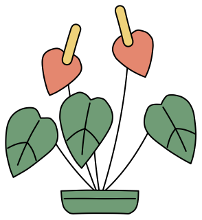 Anthurium from the Green Walls shape library
