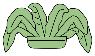 Hart's-tongue Fern from the Green Walls shape library