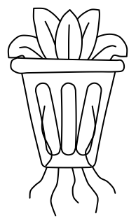 Plant Plug in Liner Pot from the Green Walls shape library