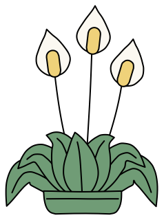 Peace Lily from the Green Walls shape library