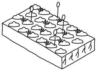 Cover Crop from the Regenerative Farm Isometric shape library