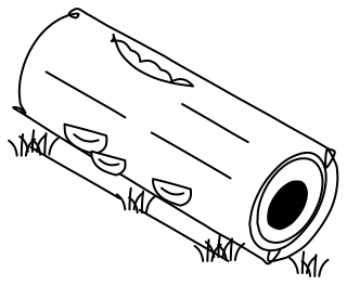 Habitat Log from the Regenerative Farm Isometric shape library