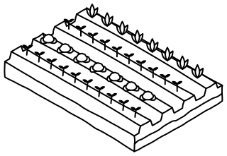 Market Garden Beds from the Regenerative Farm Isometric shape library