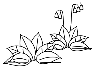 Comfrey Patch from the Regenerative Farm Isometric shape library