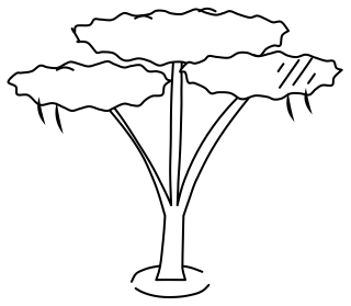Nitrogen-Fixing Tree from the Regenerative Farm Isometric shape library