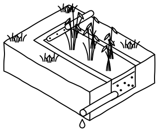 Greywater Reed Bed from the Regenerative Farm Isometric shape library