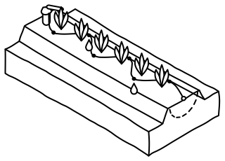 Drip Irrigation from the Regenerative Farm Isometric shape library