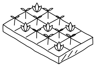 Seedling Tray from the Regenerative Farm Isometric shape library