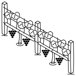 Vine Trellis from the Regenerative Farm Isometric shape library