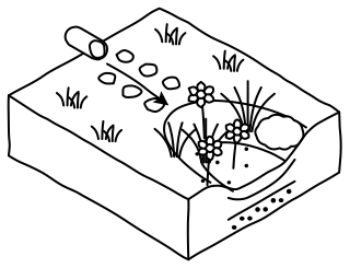 Rain Garden from the Regenerative Farm Isometric shape library