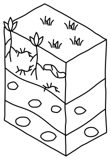 Soil Profile from the Regenerative Farm Isometric shape library