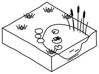 Wildlife Pond from the Regenerative Farm Isometric shape library