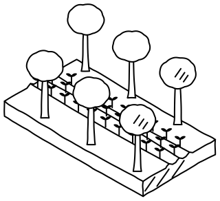 Alley Cropping from the Regenerative Farm Isometric shape library
