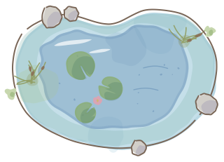 Wildlife Pond from the Regenerative Farm Plan (Watercolor) shape library