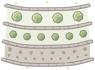 Terraces from the Regenerative Farm Plan (Watercolor) shape library