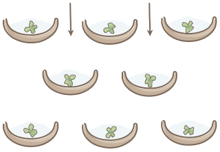 Half-Moon Bunds from the Regenerative Farm Plan (Watercolor) shape library