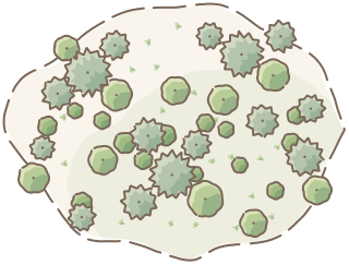 Native Bushland from the Regenerative Farm Plan (Watercolor) shape library