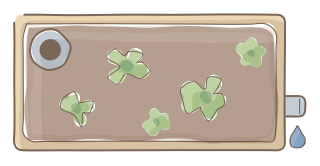 Wicking Bed from the Regenerative Farm Plan (Watercolor) shape library