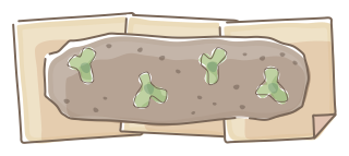 No-Dig Bed from the Regenerative Farm Plan (Watercolor) shape library