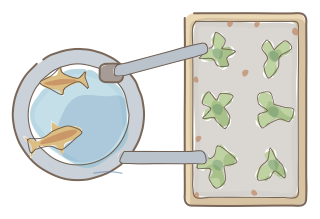 Aquaponics System from the Regenerative Farm Plan (Watercolor) shape library