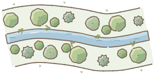 Riparian Buffer from the Regenerative Farm Plan (Watercolor) shape library