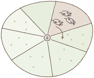 Grazing Cells from the Regenerative Farm Plan (Watercolor) shape library