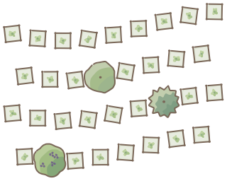 Revegetation Planting from the Regenerative Farm Plan (Watercolor) shape library