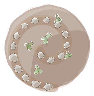 Herb Spiral from the Regenerative Farm Plan (Watercolor) shape library