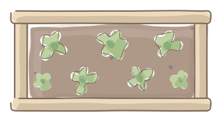 Raised Bed from the Regenerative Farm Plan (Watercolor) shape library