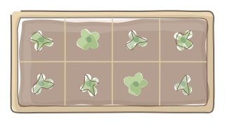 Grid-Planted Bed from the Regenerative Farm Plan (Watercolor) shape library