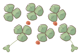 Ground Cover Planting from the Regenerative Farm Plan (Watercolor) shape library