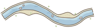 Creek from the Regenerative Farm Plan (Watercolor) shape library
