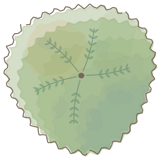 Nitrogen-Fixing Tree from the Regenerative Farm Plan (Watercolor) shape library