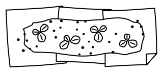 No-Dig Bed from the Regenerative Farm Plan shape library