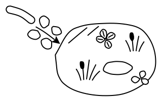 Rain Garden from the Regenerative Farm Plan shape library