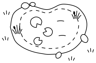 Wildlife Pond from the Regenerative Farm Plan shape library