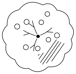 Fruit Tree from the Regenerative Farm Plan shape library