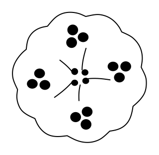Berry Bush from the Regenerative Farm Plan shape library