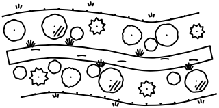 Riparian Buffer from the Regenerative Farm Plan shape library